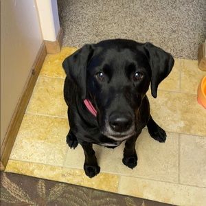 Meet your Posher, Angela